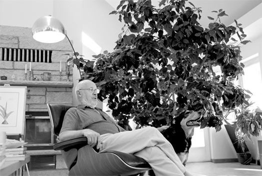 Peter Seitz: Slideshow: Slide 19